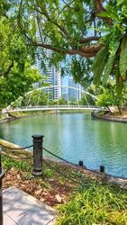 Riviere  (D3), Condominium #615618271